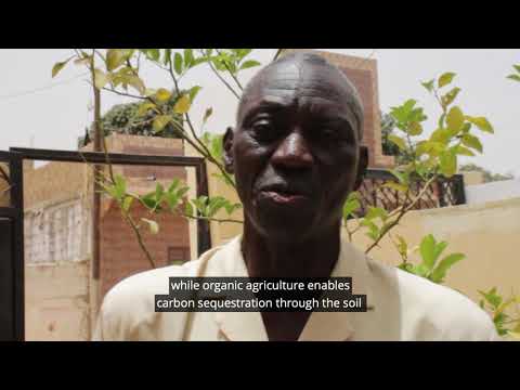 ⁣#IGrowYourFood - Meet Ibrahima, An Organic Farmer from Senegal