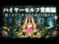 【アファ・瞑想】ソウルコード|ハイヤーセルフ覚醒・パラダイムシフト編|聴くだけであなたの魂が目醒める