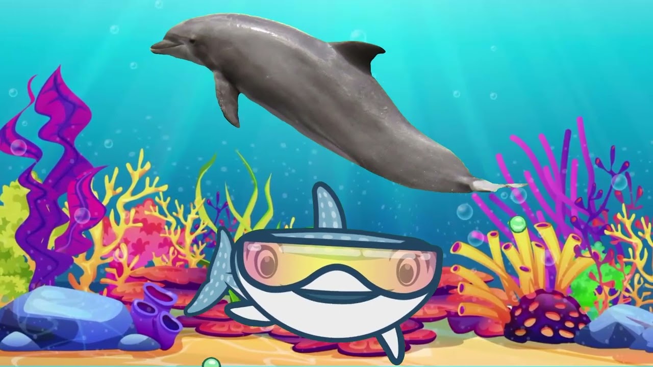 🌟 MAGICAL SEA JOURNEY: Explore the Ocean's ANIMATED Wonders! 🦀