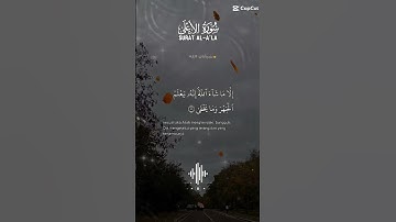 تلاوة خاشعة عطرة للشيخ سعد الغامدي ماتيسر من سورة الأعلى