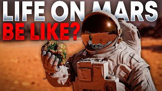 What Life In Elon Musk’s Mars Colony Will Be Like
