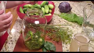 Fermenting Pickles for Winter