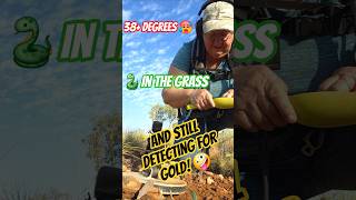 38°C, Snakes In The Grass, But I Found GOLD!