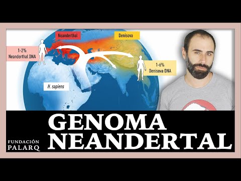 Vídeo: Qui va seqüenciar primer el genoma del covid?