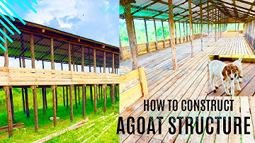 How I built my 500 Goats House | 2023