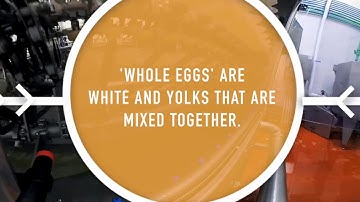 360 Virtual Reality Egg Breaking Facility Tour