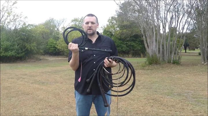 New kangaroo bullwhips and a Holyoak!