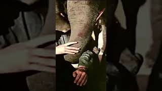 &quot;Escape the World of Hate: Mohammed Rafi Songs | Nafrat Ki Duniya Ko Chhod Ke | Must-See Shorts!&quot;