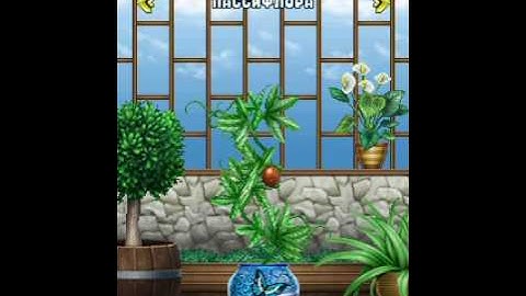 BioSim by Dynamic Pixels