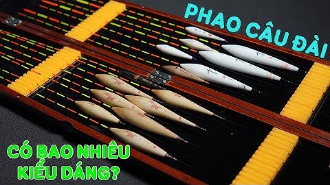 Các Dáng Phao Cơ Bản Trong Câu Đài Và Công Dụng Của Nó (Phần 2) | VIETNAM FISHING