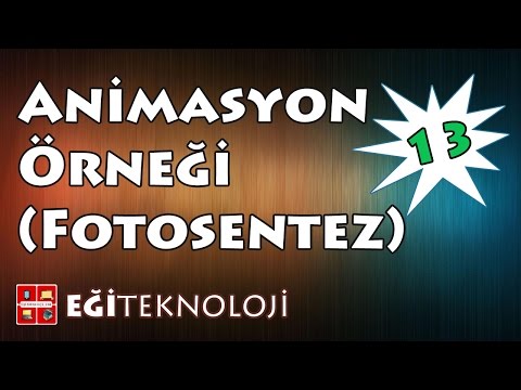 Video: Alglerde fotosentez nasıl gerçekleşir?