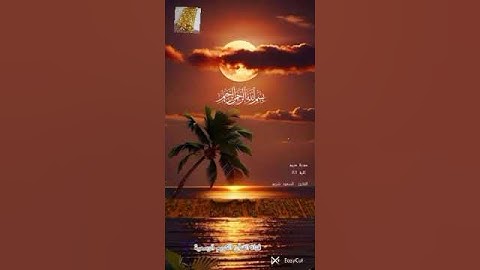 #ماتيسر_من سورة مريم بصوت القارئ الشيخ السعود شريم قناة القرآن الكريم الرسمية