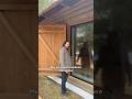 Наш самый масштабный объект — Мелихово, музей-заповедник А.П.Чехова #деревянныедвери #деревянныеокна