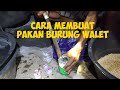 CARA MEMBUAT PAKAN WALET TAHAN SAMPAI 3 BULAN DAN TIDAK BERBAU