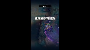 Skarner bug