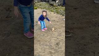 Crab Scares Little Girl! #shorts