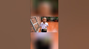 Capybara - Rumi bị Long chơi xấu #capybara #funny #veo3 #trending