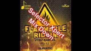 Selector xpert  Flammable Riddim Mix Down