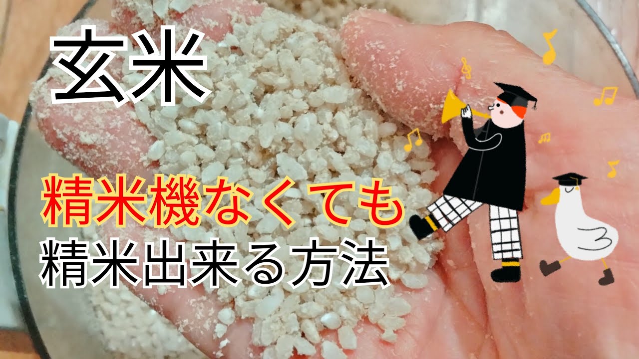玄米を精米する方法と糠の食べ方 How to polish brown rice 説明欄も