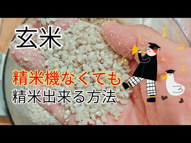 玄米を精米する方法と糠の食べ方 How to polish brown rice 説明欄も