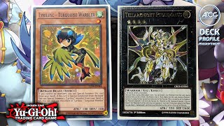Yu-Gi-Oh! LYRILUSC TRI-BRIGADE Deck Profile (COMPETITIVE) - Post December 2022 Banlist
Subscribe to our channel: https://www.youtube.com/c/alphatradingcardgames?sub_confirmation=1
► To send stuff directly to the channel (sponsorship@alphatradingcardgames.com)
► To get in touch with us (info@alphatradingcardgames.com)
► To sell Products/collections (sales@alphatradingcardgames.com)
► To share videos or content (coverage@alphatradingcardgames.com)
Relive the original Yugioh Era and how it was meant to be experienced. Comprehensive guide with full coverage for the 2002-2003 format, all the way from LOB to Dark Crisis.
Yu-Gi-Oh! Book (The Original Yugioh Era: The Ultimate Unofficial Guide)
►AMAZON COM: https://amzn.to/3oRDI4B
►AMAZON UK: https://amzn.to/2QSRcAu
Social Media
Facebook: https://www.facebook.com/AlphaTradingCardGames
Instagram: https://www.instagram.com/alphatradingcardgames
Youtube: https://www.youtube.com/c/AlphaTradingCardGames
#DeckofTheDay #DeckProfile #Lyrlusc #Tribrigade #Alphatradingcardgames #Yugioh
***********************************
This channel and all of its videos are not “directed to children” within the meaning of Title 16 C.F.R. § 312.2 and are not intended for children under 13 years of age. (AlphaTradingCardGames) and its owner(s), agents, representatives, and employees do not collect any information from children under 13 years of age and expressly deny permission to any third party seeking to collect information from children under 13 years of age on behalf of CHANNEL. Further, CHANNEL denies any and all liability or responsibility for the practices and policies of YouTube and its agents and subsidiaries, or any other affiliated third party, regarding data collection. Any data collection is done illegally and without your approval. Yu-Gi-Oh! LYRILUSC TRI-BRIGADE Deck Profile (COMPETITIVE) - Post December 2022 Banlist