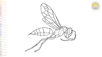 Wasp flying drawing easy | Insect drawing tutorial | How to draw A Wasp step by step | #artjanag