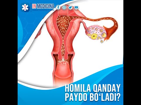 Ҳомила қандай пайдо бўлади? 9 ой 1 минут ичида. #shorts  #homiladorlik  #pregnancy #medicina