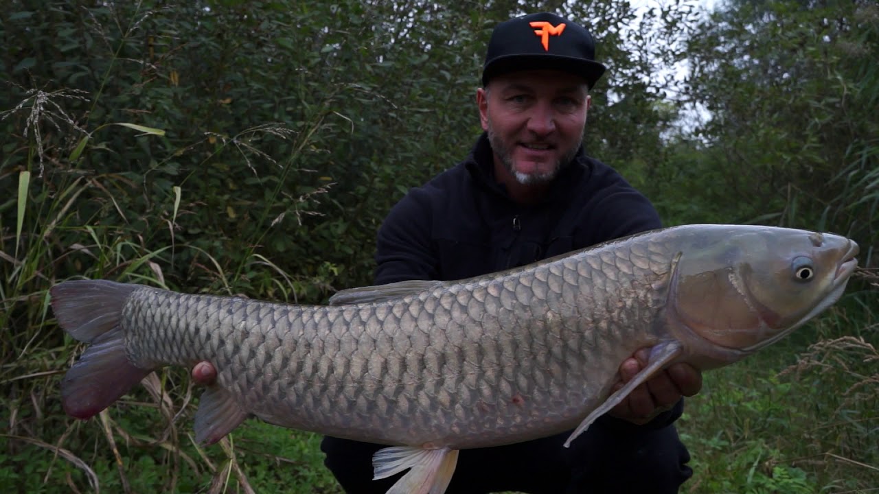 FEEDERMANIA - Bontova halai