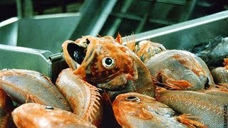 The End of the Line - Trailer