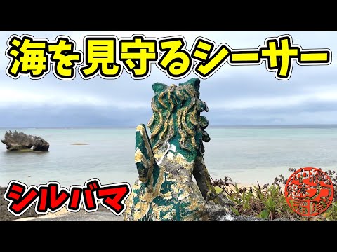 【海を見守るシーサー】シルバマの洞窟探検や海岸調査!今泊のフクギ並木・クビリガー・カンジャーヤーの拝所・シルバマ・海蝕洞窟・シルバマの海を見守るシーサー!