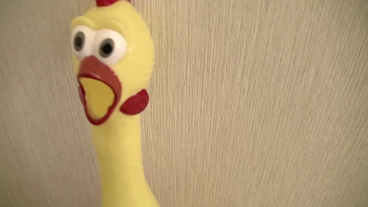 叫ぶ 面白い鳥のおもちゃ Shouting Chicken Youtube