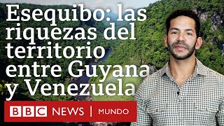 Las riquezas del Esequibo, el territorio disputado por Guyana y Venezuela desde hace casi dos siglos