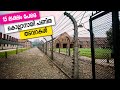 Sancharam | By Santhosh George Kulangara | Auschwitz concentration camp 02 | Safari TV