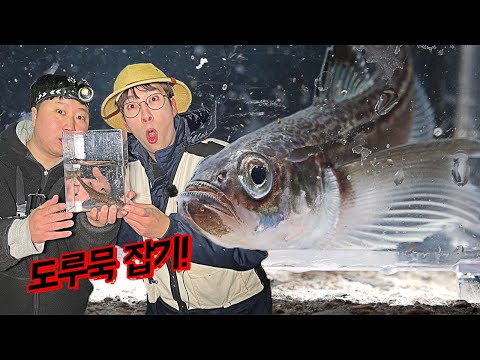 야간 <strong>도루묵</strong> 통발 대박! 말짱 <strong>도루묵</strong>?