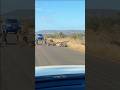 The SHOCKING Truth About Leopards You Never Knew