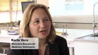 Karla Vera, Directora Escuela de Medicina Veterinaria – UDLA screenshot 5