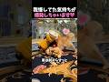 プルート推しはまさかのワンちゃん🐶🩷