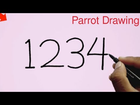 How to Draw