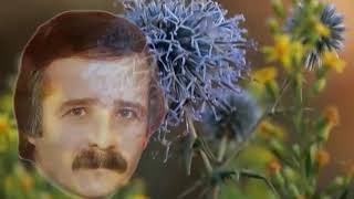 Mehmet Bozdoğan Yıkılası Gurbet Eller