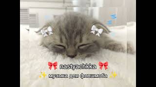 🎀 музыка для флешмоба 🎀 #музыка