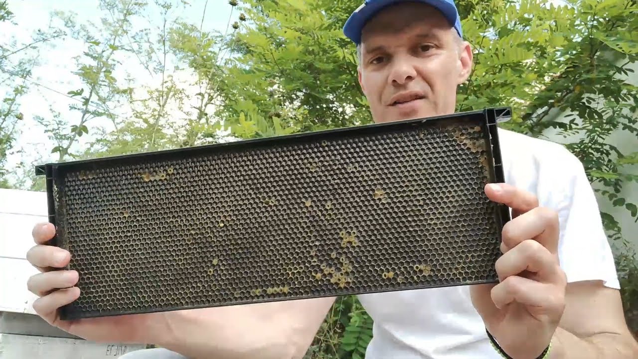 βάζω κερί στα πλαστικά πλαίσια