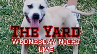 Dog Yards Wednesday Night Live