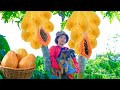 Harvesting papaya goes to market sell  cook eggplant with pork farm gardening