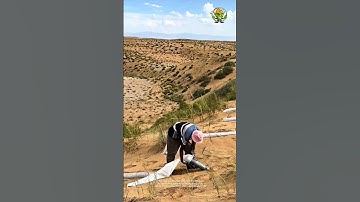 Sand Stabilization Hack: Quickly Packing 30kg Bags with Tube Tool in 10 Seconds