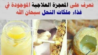 فوائد غذاء ملكات النحل للنساء للبشرة والشعر والصحة