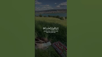 سعد الغامدي سورة مريم Saad Alghamidi Surat Maryam