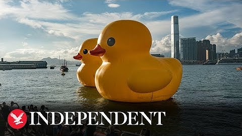 Giant 18m inflatable ducks return to Hong Kong after ten years