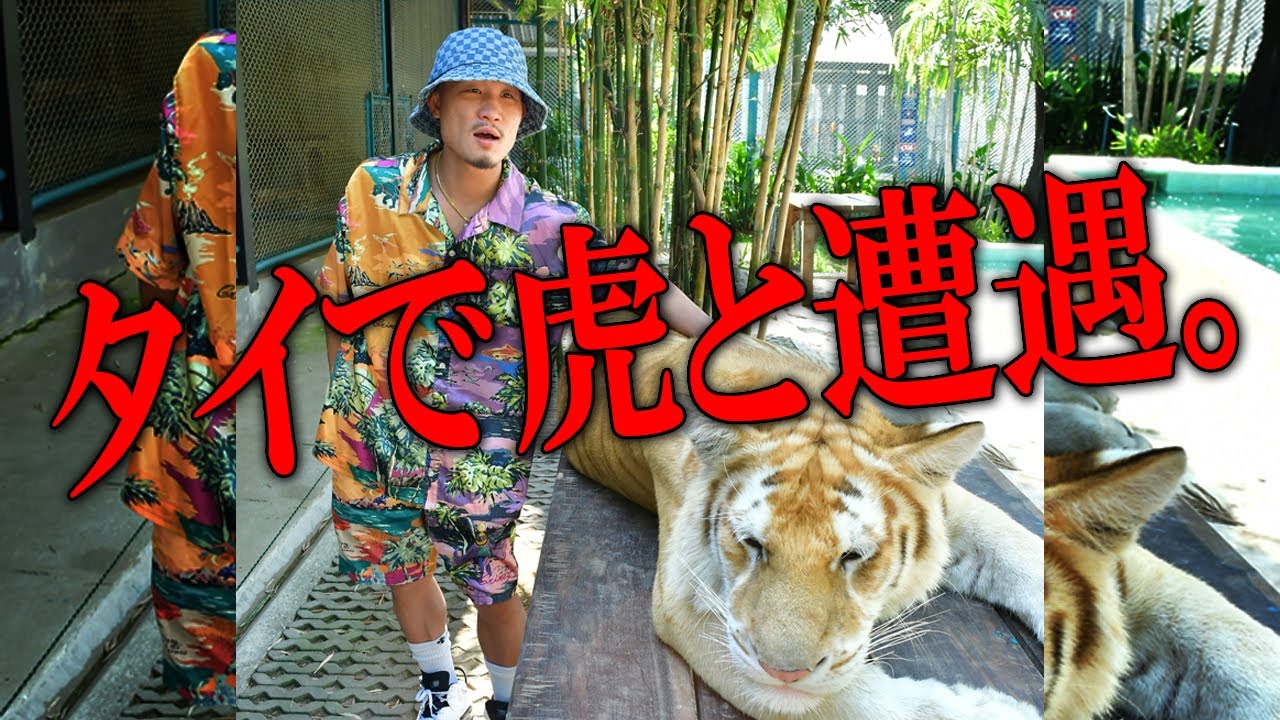 【タイランド２人旅】ヒロキング、タイで虎に遭遇！シェンロンといくタイランド