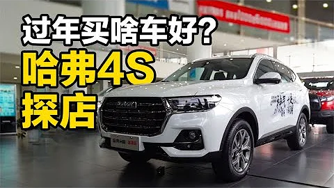 老司機試車：過年買啥車好？探店哈弗H6國潮版與哈弗M6 PLUS - 天天要聞
