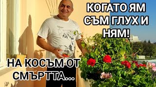видео: ЕДНА ИСТОРИЯ С ЛЮТИ ЧУШКИ ОТ ОПИТНОТО ПОЛЕ НА УЧИЛИЩЕТО МИ, ЗАВЪРШИЛА С ЩАСТЛИВ КРАЙ ЗА МОЯ СЪУЧЕНИК картинка: ЕДНА ИСТОРИЯ С ЛЮТИ ЧУШКИ ОТ ОПИТНОТО ПОЛЕ НА УЧИЛИЩЕТО МИ, ЗАВЪРШИЛА С ЩАСТЛИВ КРАЙ ЗА МОЯ СЪУЧЕНИК